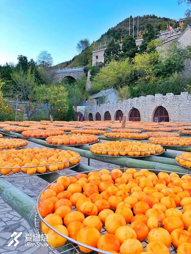 赛记：抢钱之战，柿柿如意--记三夫云丘山越野赛