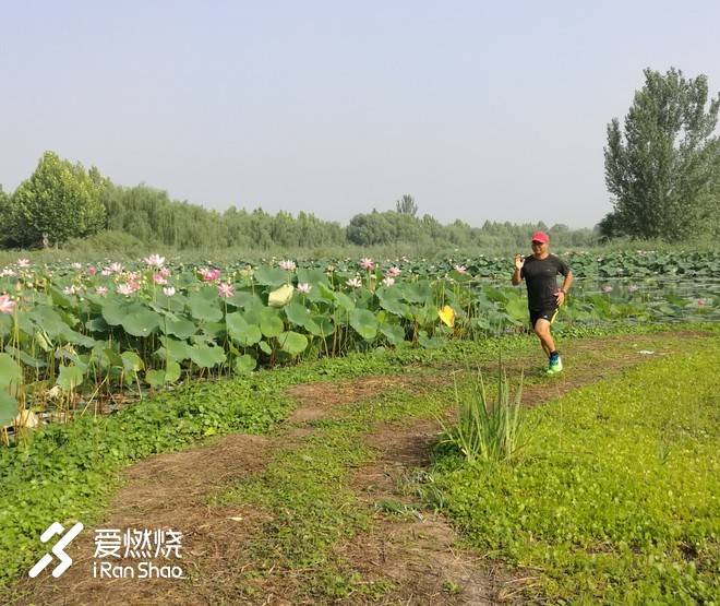 纽马好远，让鞋子带我飞---NEW BALANCE | FUELCELL IMPULSE NYC MARATHON众测报告