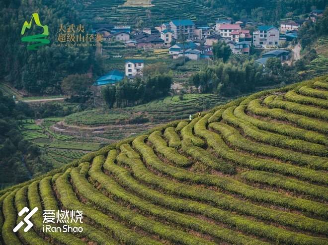 十年，从轮椅上，走到大武夷山径赛的赛道上