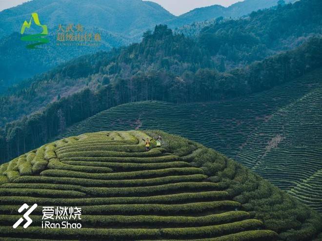 十年，从轮椅上，走到大武夷山径赛的赛道上