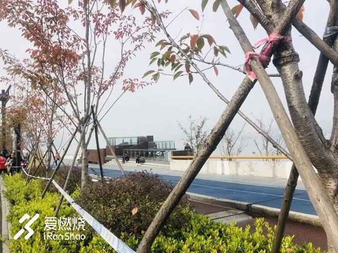 跑渣的杭马，既可欣赏风景，又可突破自我