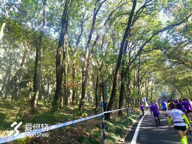 南马赛记 ——穿越历史，跑过南京