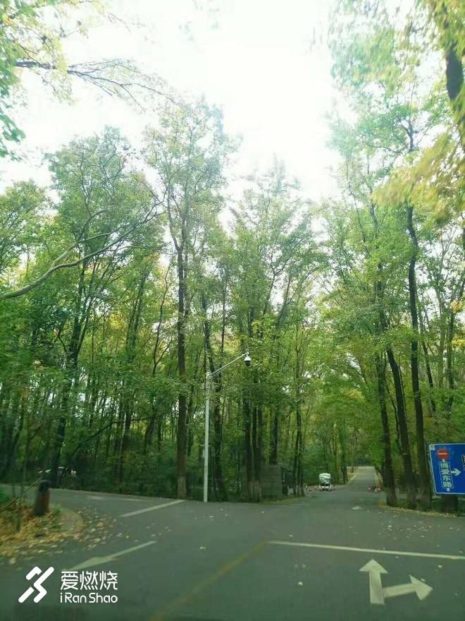 南马赛记 ——穿越历史，跑过南京