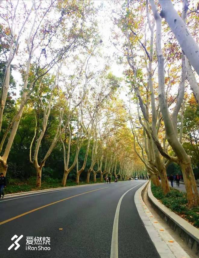 南马赛记 ——穿越历史，跑过南京