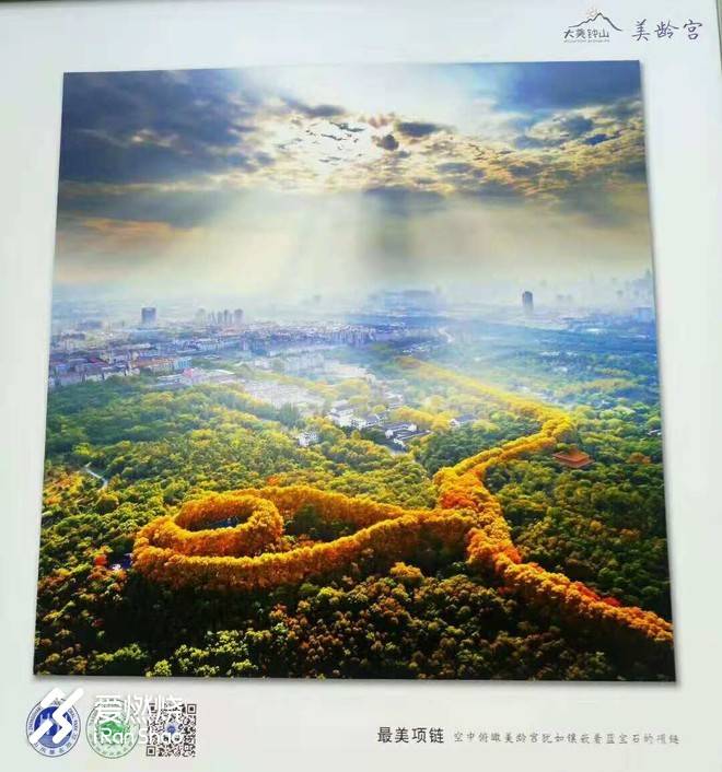 南马赛记 ——穿越历史，跑过南京