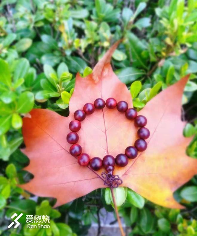 南马赛记 ——穿越历史，跑过南京