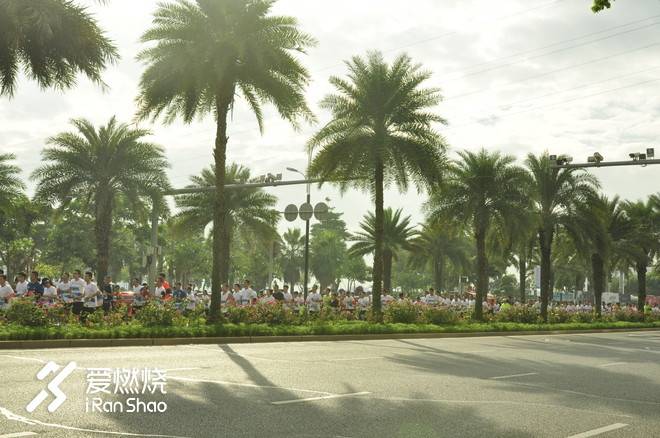 在海风中奔跑，在树影下交错——今年的海沧有点惊艳