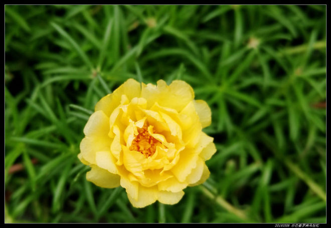 20180506 北纬4度，婆罗洲马拉松