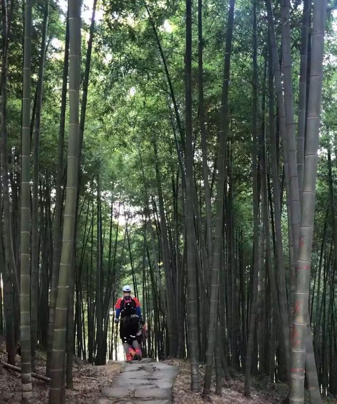 2018 年，在 7 个城市跑 8 场比赛