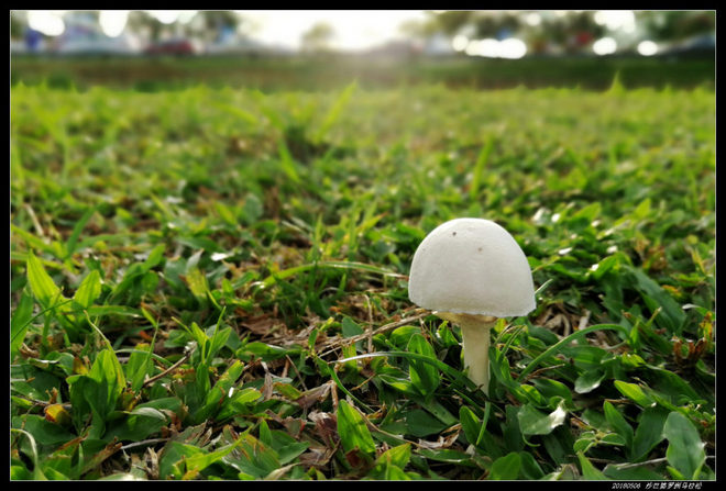 20180506 北纬4度，婆罗洲马拉松