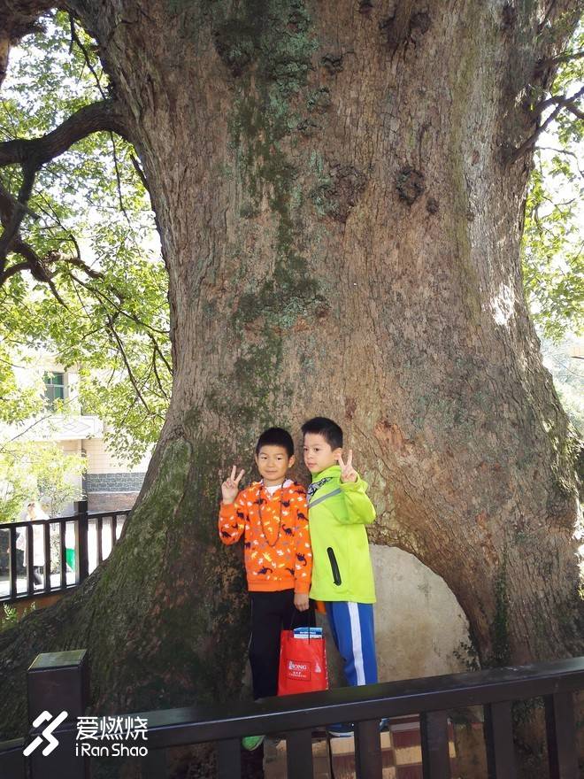 浮游天地，越野如何？造化神秀，山林有约     ——2018中国芦溪玉皇山国际越野赛参赛记