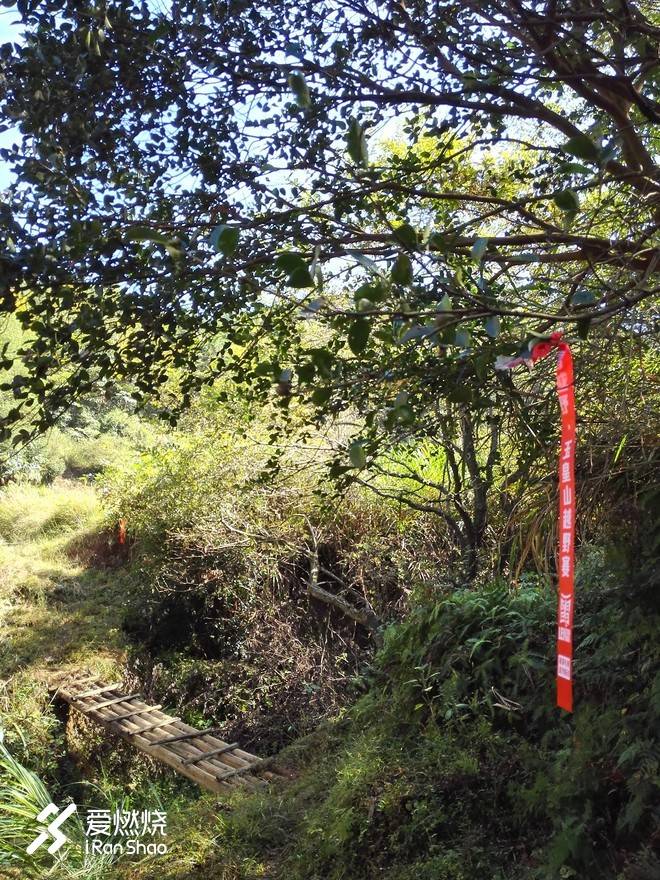 浮游天地，越野如何？造化神秀，山林有约     ——2018中国芦溪玉皇山国际越野赛参赛记