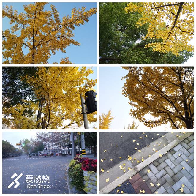 女子10K赛记|Who run the world? Girls!