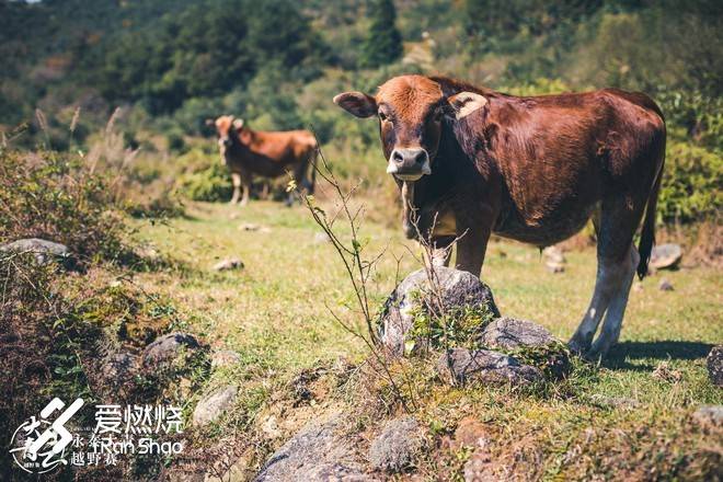 醉卧青云君莫笑--拉爆青云录之荟萃篇