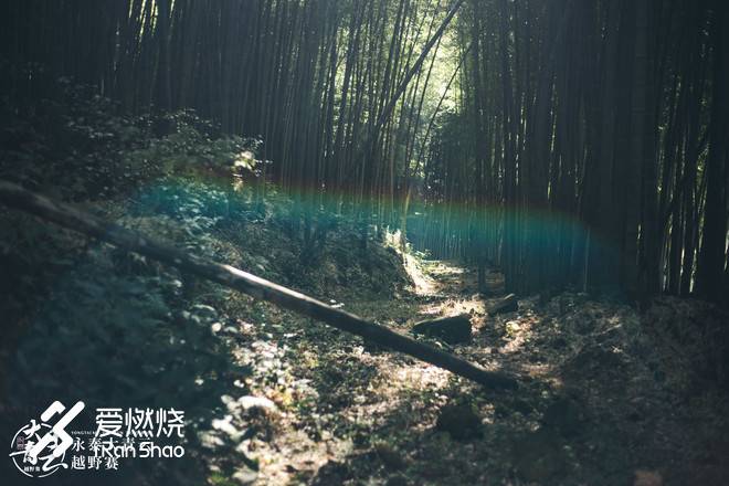 醉卧青云君莫笑--拉爆青云录之荟萃篇