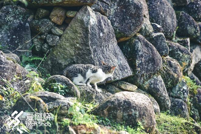 醉卧青云君莫笑--拉爆青云录之荟萃篇