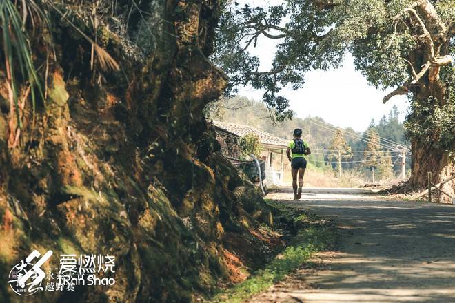 醉卧青云君莫笑--拉爆青云录之荟萃篇