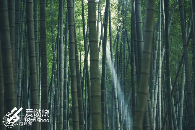 醉卧青云君莫笑--拉爆青云录之荟萃篇