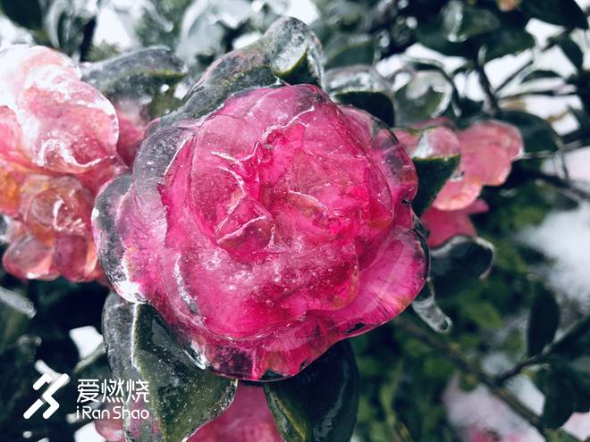 将所有关于遗憾和美好的记忆沉淀在心里，静待来年孕育出最鲜艳的花——2018嵊州国际越野挑战赛“被完赛”记