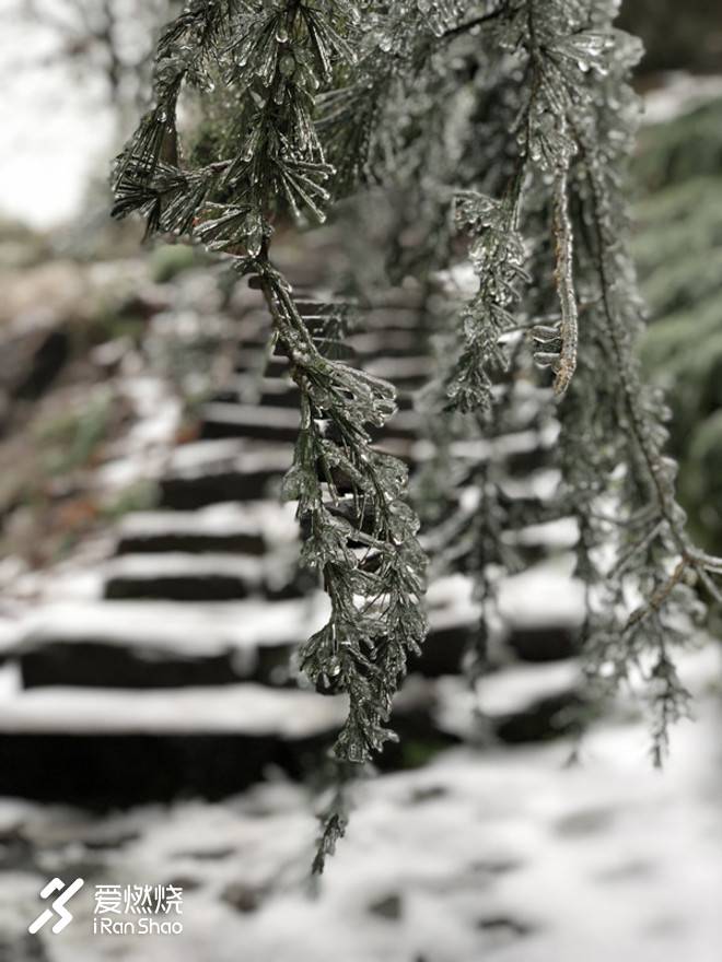 将所有关于遗憾和美好的记忆沉淀在心里，静待来年孕育出最鲜艳的花——2018嵊州国际越野挑战赛“被完赛”记