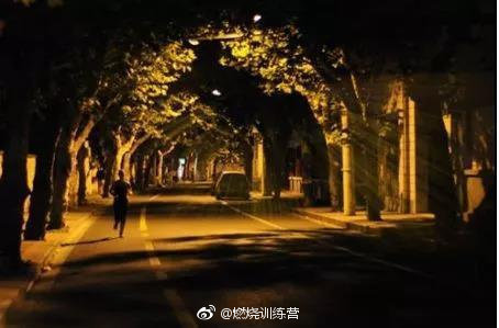 赛道速读 | 李子成厦马击败董国建 箱根驿传新王加冕  夜跑安全警钟长鸣