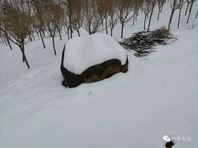 2019第三届新昌越野赛赛记：一抹惊艳的山雪岗