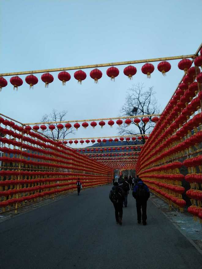 记第二次越野—凤凰岭越野赛－－50km组