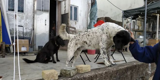 一场“报错”的比赛 下次还会见 | 2018 HK TNF