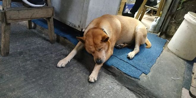 一场“报错”的比赛 下次还会见 | 2018 HK TNF