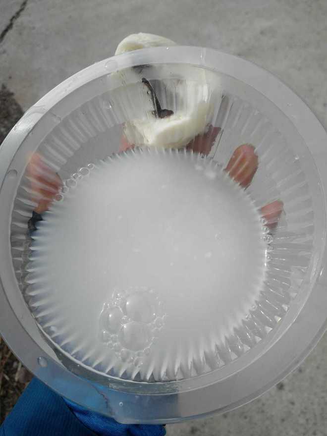 记第二次越野—凤凰岭越野赛－－50km组