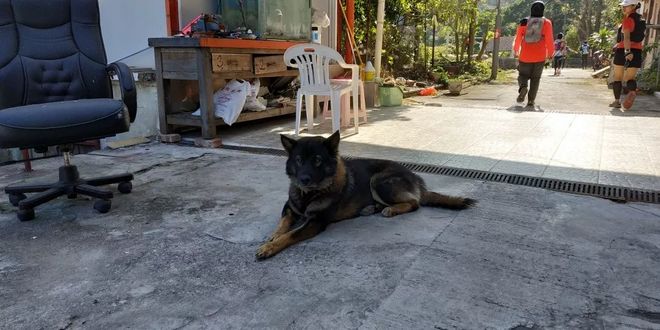 一场“报错”的比赛 下次还会见 | 2018 HK TNF