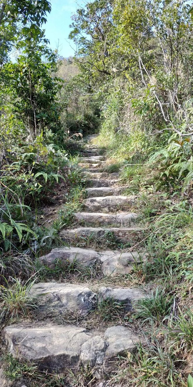 一场“报错”的比赛 下次还会见 | 2018 HK TNF