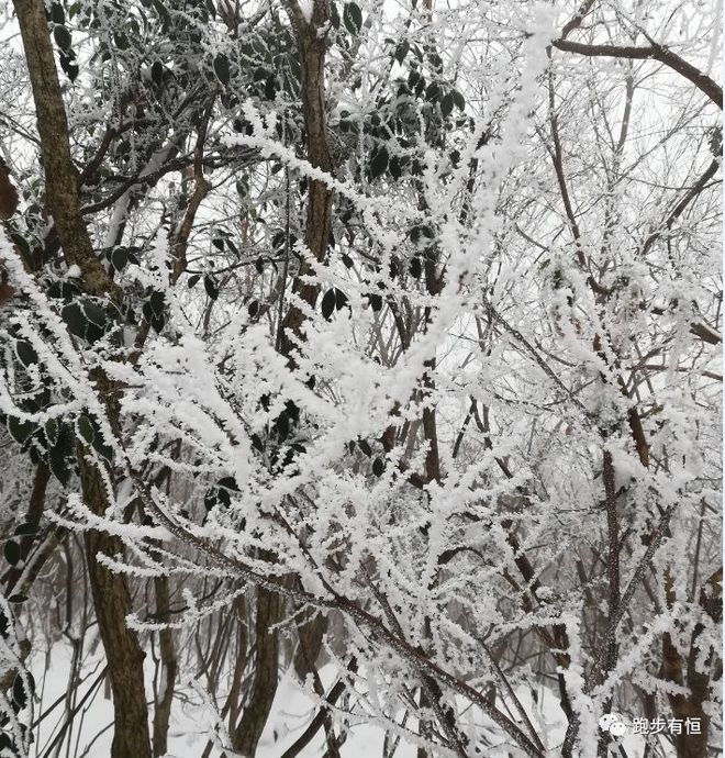 2019第三届新昌越野赛赛记：一抹惊艳的山雪岗