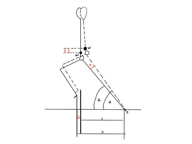 为什么大家都在强调“送髋”