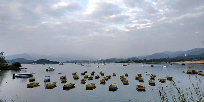 一场“报错”的比赛 下次还会见 | 2018 HK TNF