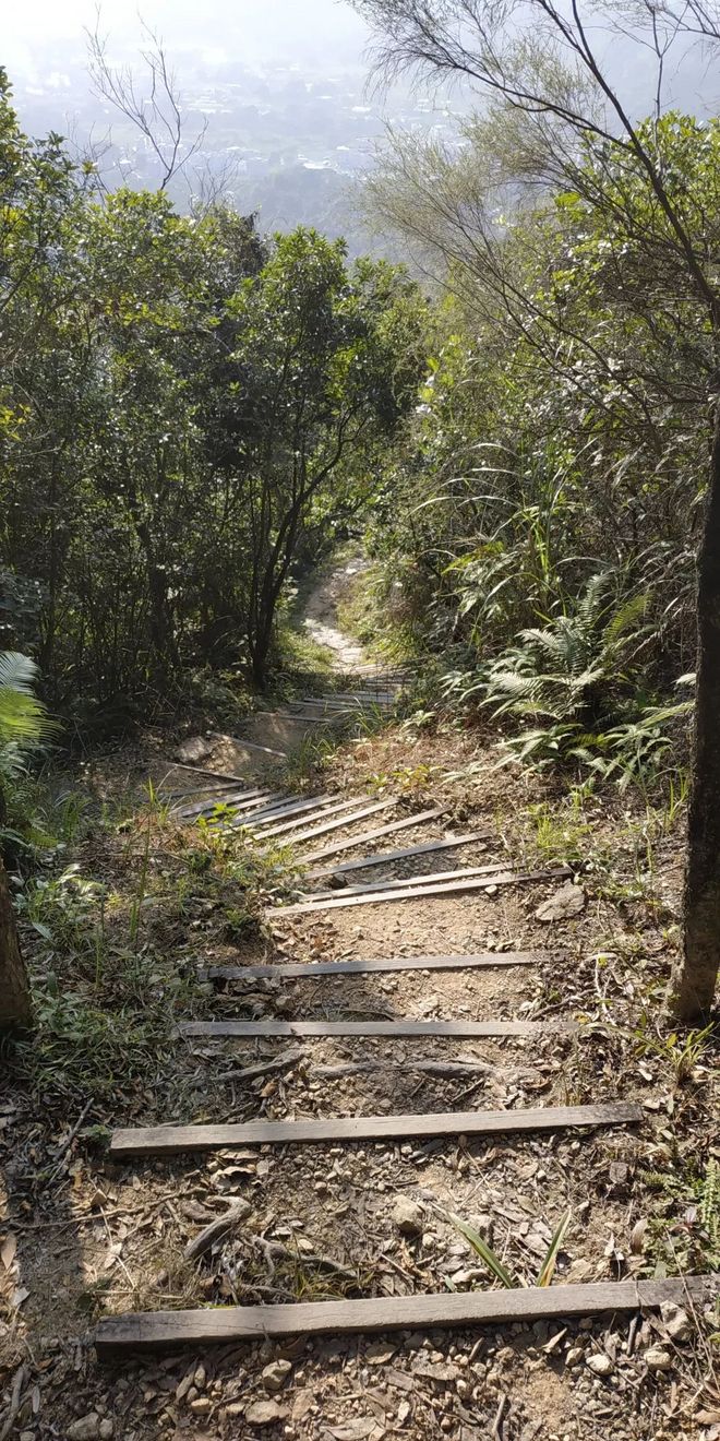 一场“报错”的比赛 下次还会见 | 2018 HK TNF