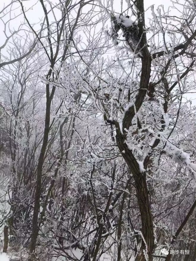 2019第三届新昌越野赛赛记：一抹惊艳的山雪岗