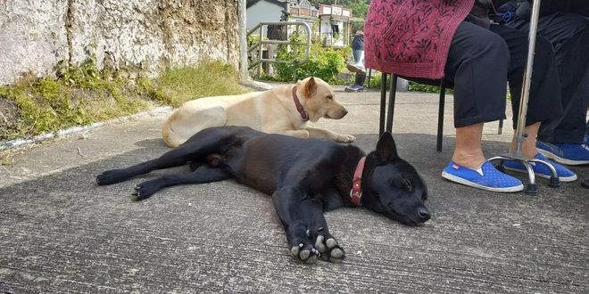 一场“报错”的比赛 下次还会见 | 2018 HK TNF