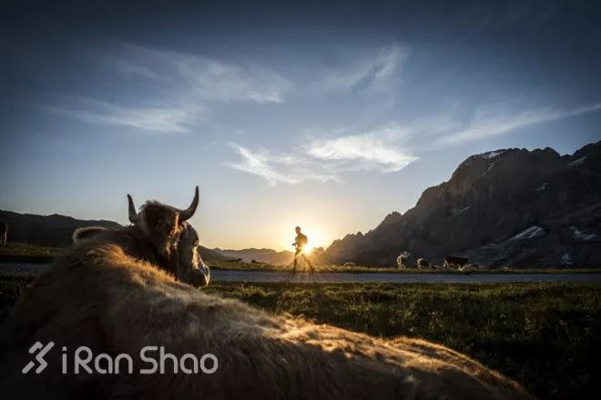 说跑步不忘初心前，不如先看看自己是否有做到？