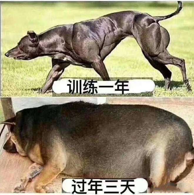 如何在跑休后，循序渐进地开始备赛