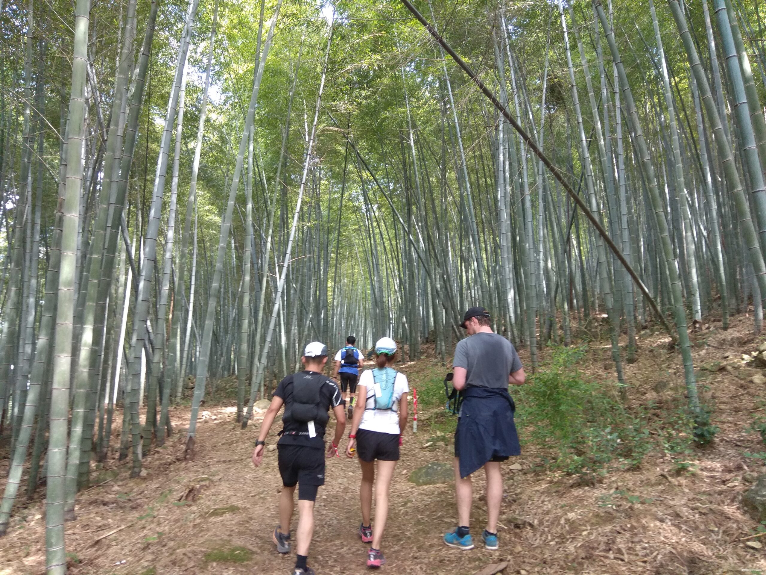 给我一碗羊肉，我就能跑完宁海50K