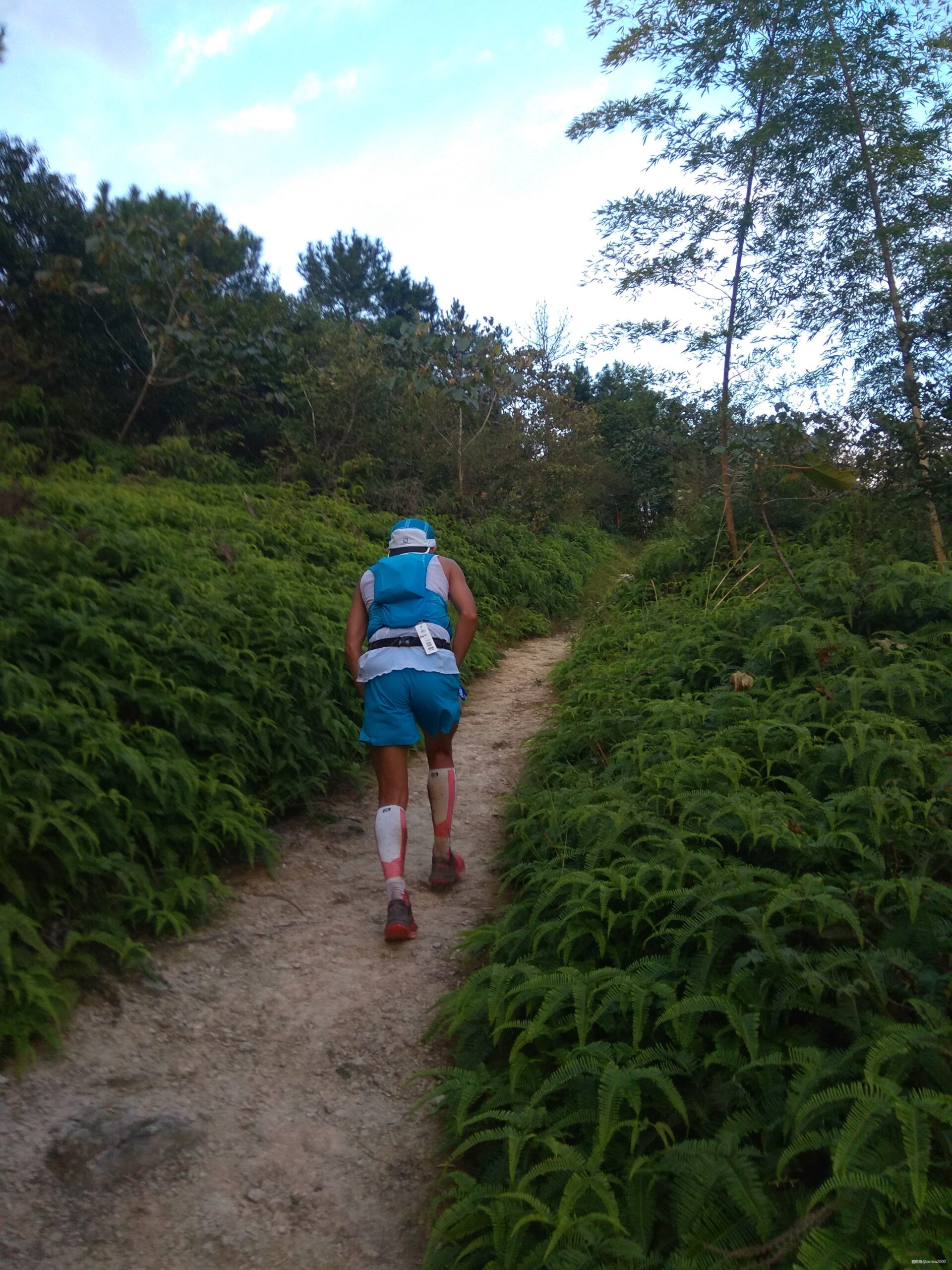 给我一碗羊肉，我就能跑完宁海50K