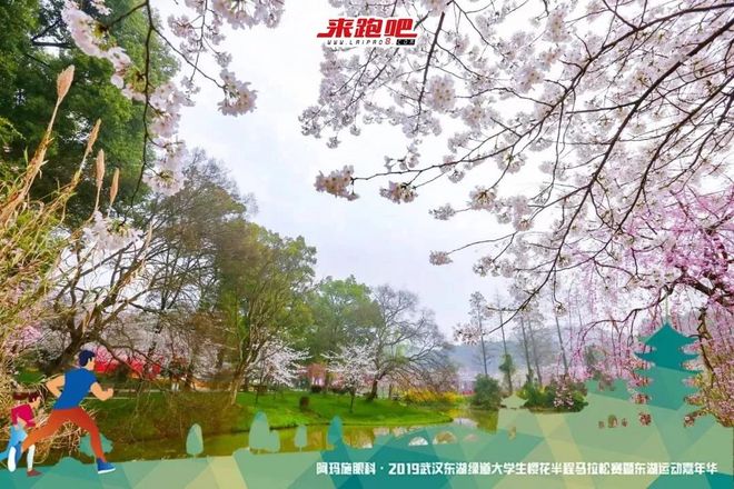 世界级绿道迎来“最美”半马，4000余人齐聚大学生樱花半程马拉松|2019武汉东湖绿道大学生樱花半马