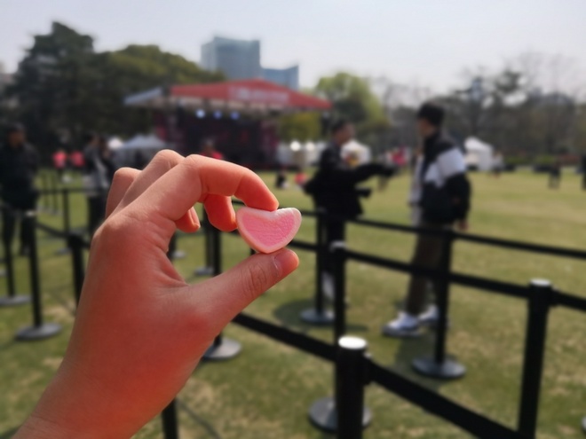 上海女子半马炸裂的少女心，下半年东方明珠下再约个全马330！