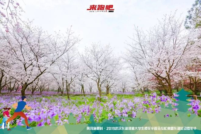 世界级绿道迎来“最美”半马，4000余人齐聚大学生樱花半程马拉松|2019武汉东湖绿道大学生樱花半马