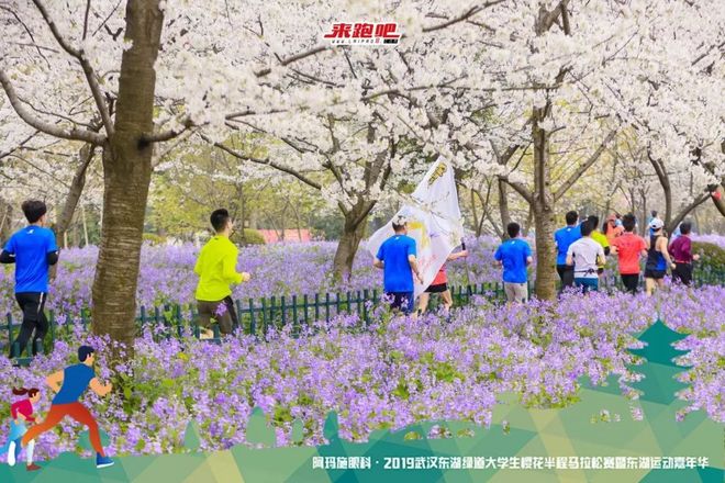 世界级绿道迎来“最美”半马，4000余人齐聚大学生樱花半程马拉松|2019武汉东湖绿道大学生樱花半马