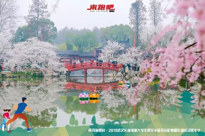 世界级绿道迎来“最美”半马，4000余人齐聚大学生樱花半程马拉松|2019武汉东湖绿道大学生樱花半马