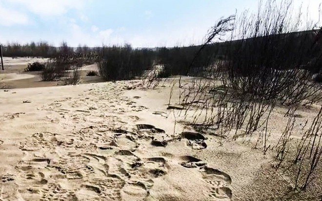 诸神之战 | 给我一次征战 以九A的名义