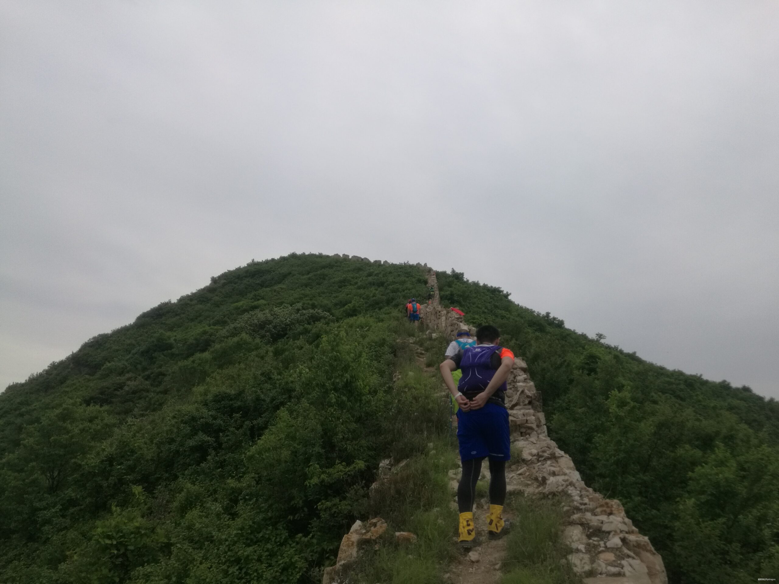 幽州虐我千百遍，我待幽州如初恋。