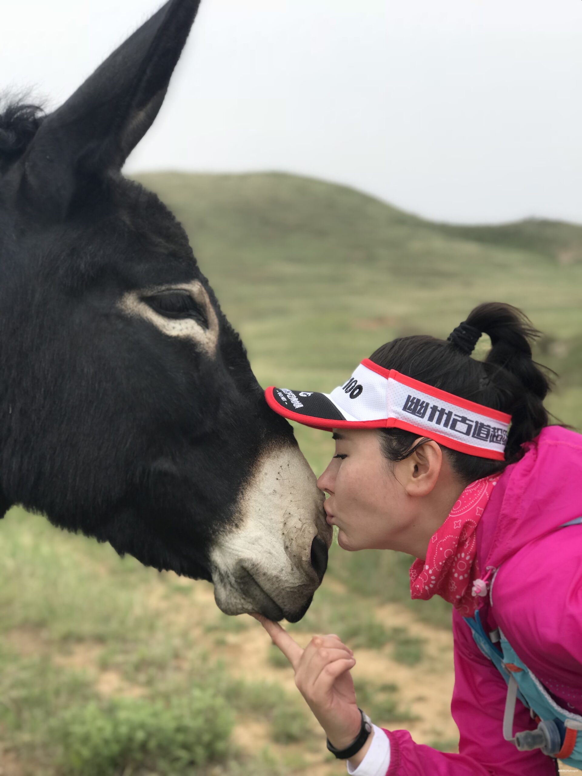 幽州虐我千百遍，我待幽州如初恋。